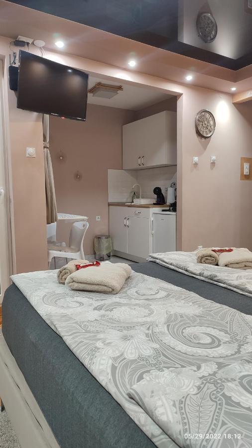 Iva Lux Apartman Zajecar Ngoại thất bức ảnh
